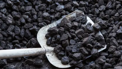 Carbones naturales: qué son y para qué sirven